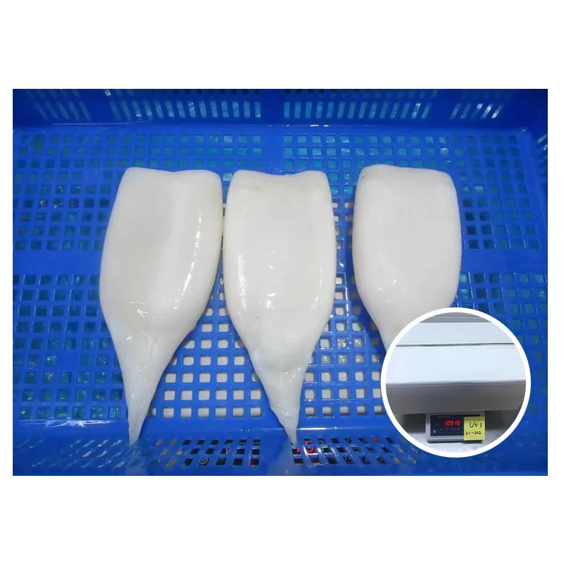 Bulk Pack Disidicus Gigas Squid Tube U5