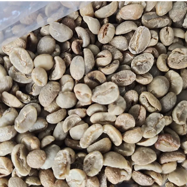 premium arabica deep medium roasted coffee beans green coffee beans in stock