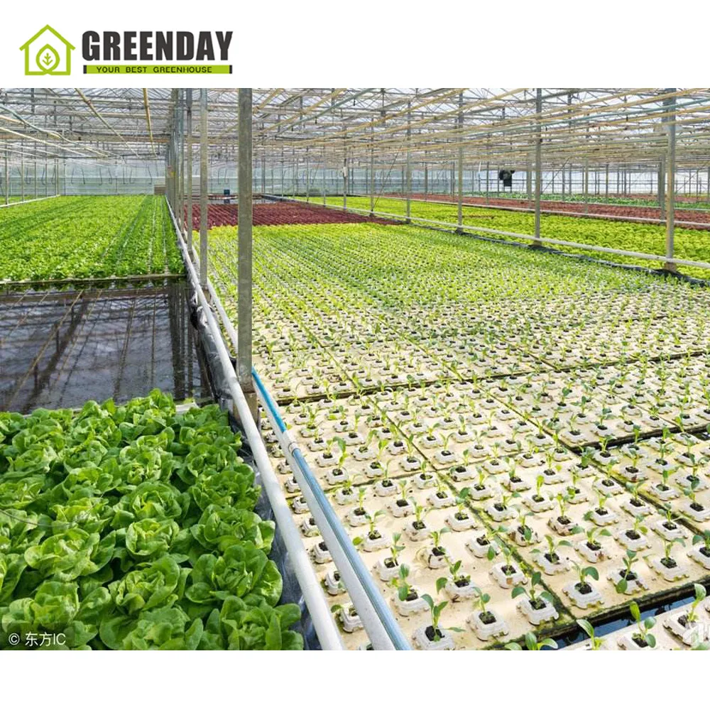 
GREENDAY Indoor hydroponics 4/8 burners CO2 generator greenhouse plant growth 