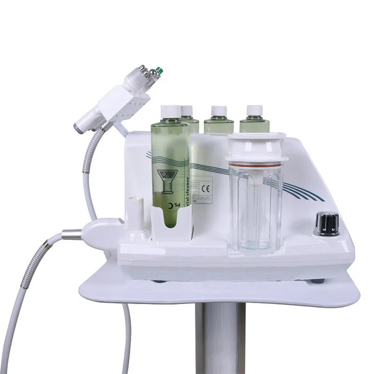 Portable Multifunctional 4 in 1 Hydra Microdermabrasion RF BIO Skin Care Facial Beauty Machine