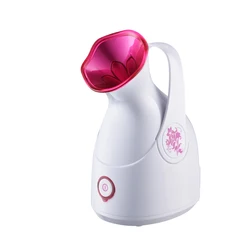 Wholesale Professional Electric Mini Beauty Product Nano Ionic Face Humidifier Hot Mist Facial Steamer Machine