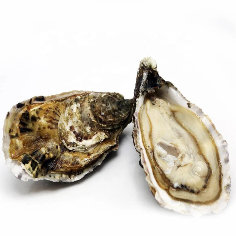 Oyster Sauce 500G Premium Natural Oyster Sauce For Cooking Recipes OEM With Factory Price