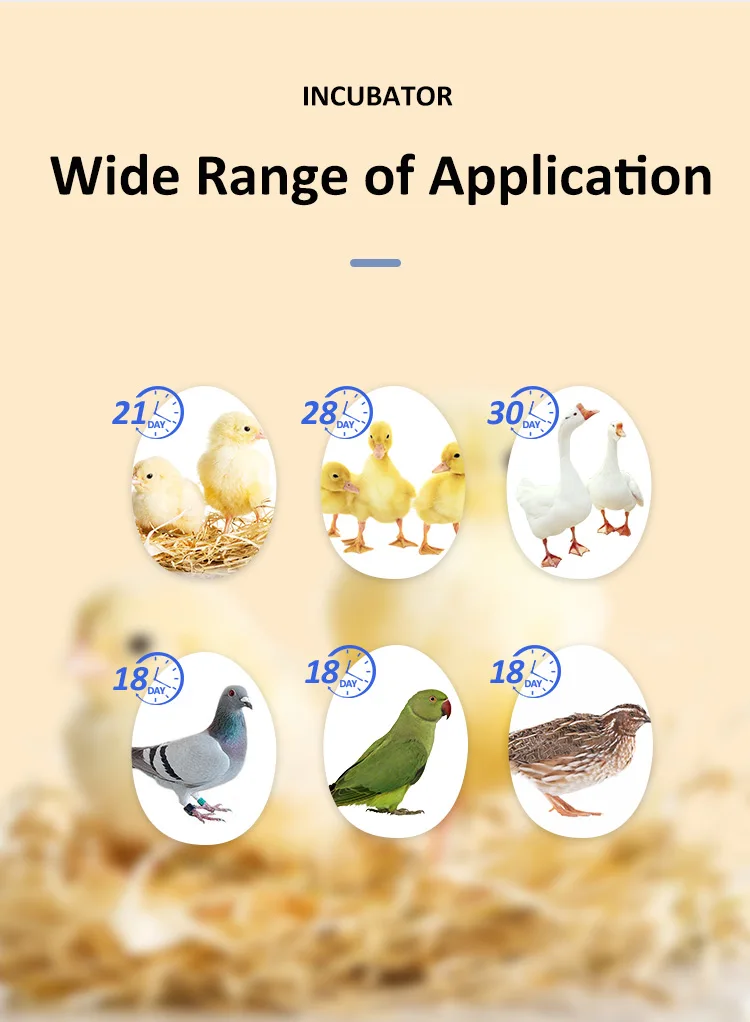 HHD Brand New Arrival Automatic Humidity Control 360 Chicken Egg Incubator H360