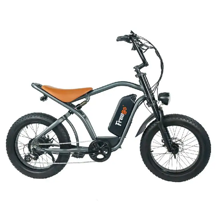 Manufacture 750w Electric Bicycle Lithium Battery Aluminum Frame 20inch Wheel Size Electric Mountain Bicycle Bike