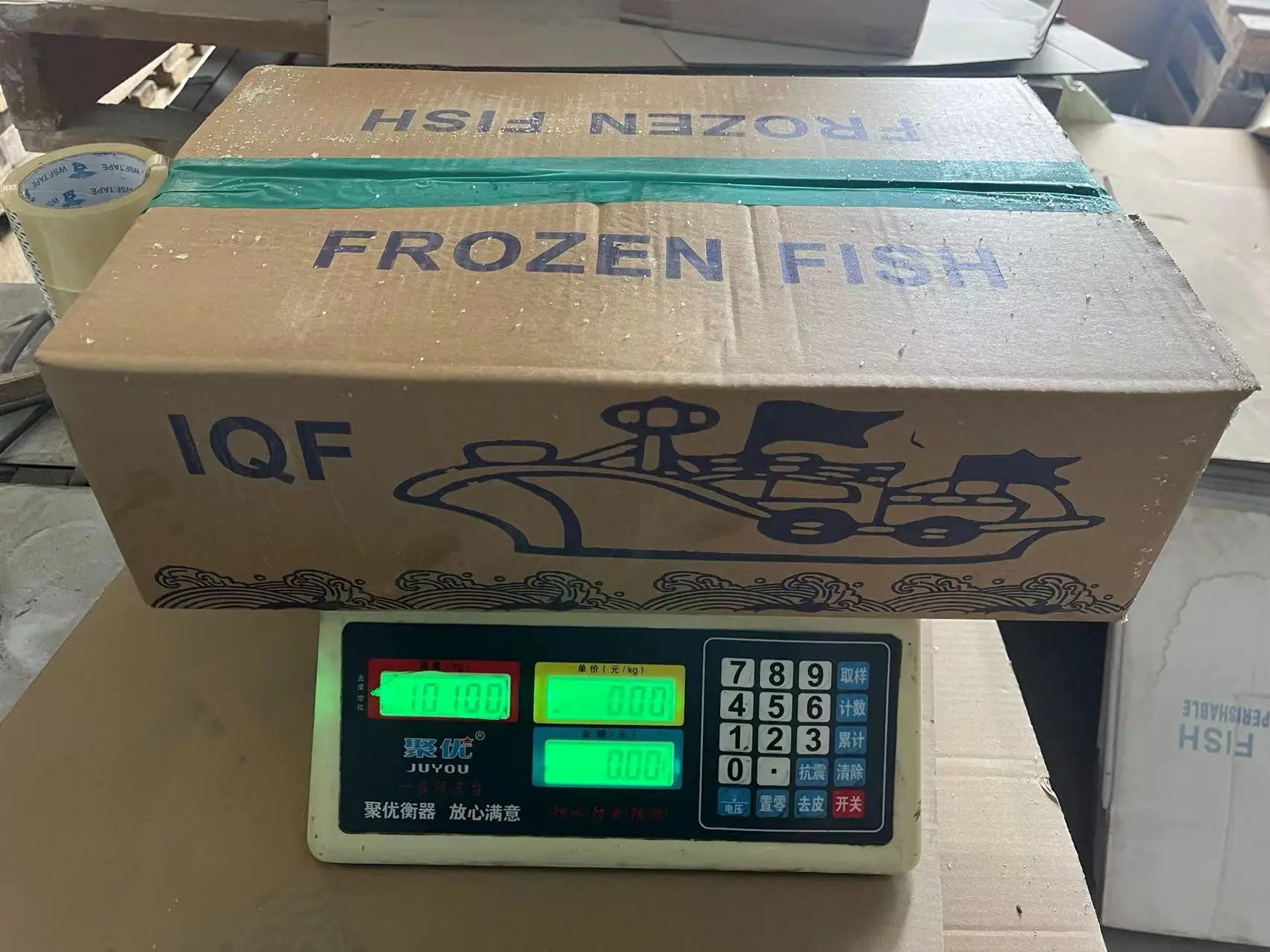 Moonfish Mene Maculata Good Sale Moon Fish Cheap