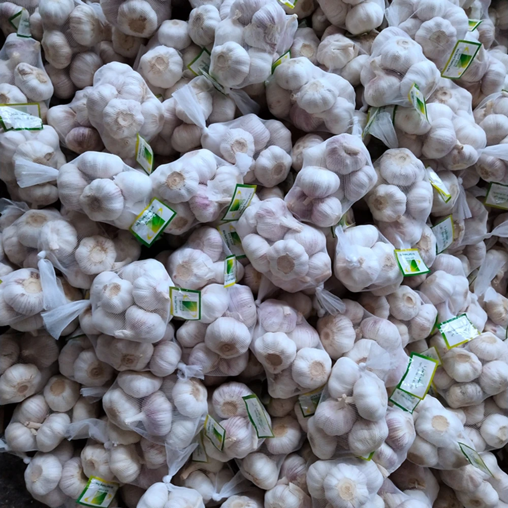 4.5-5.0cm,5.0-5.5cm Chinese fresh garlic in bulk garlic Wholesale price In Good Quality