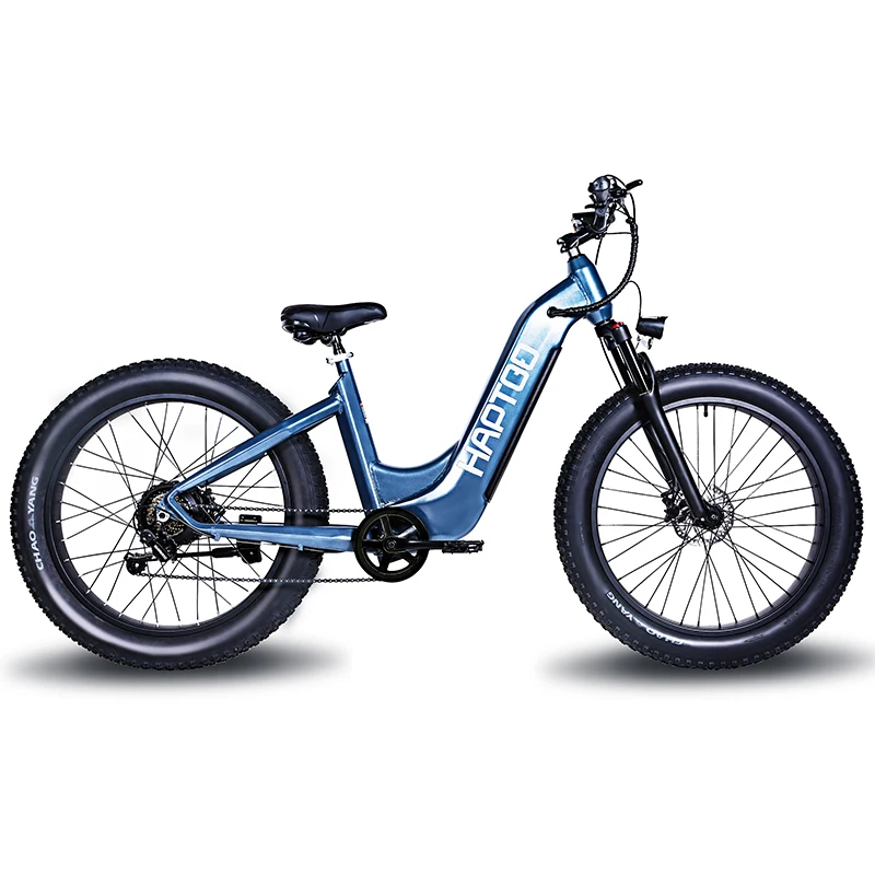 fat tire electric mountain bike 26 inch bicycle for men 750w 1000w Ebike 48v electric other bike sports bicycle cheap bicycle