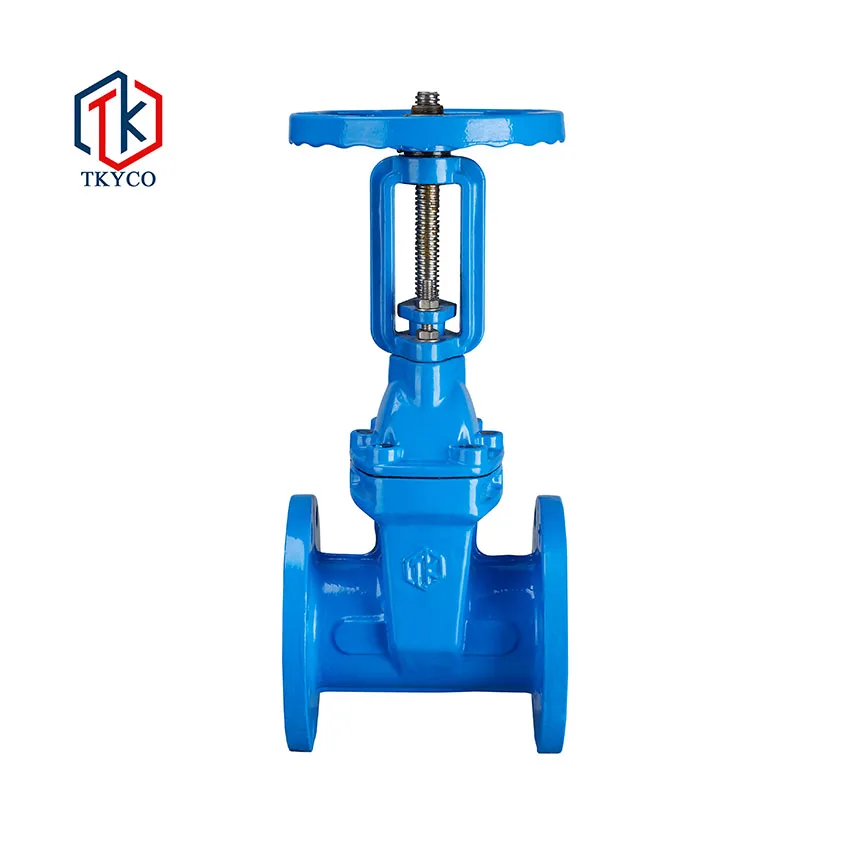 TKYCO PN10 PN16 Flange Type Rising Gate Valve Soft Sealing Ductile Cast Iron Sluice Gate Valve
