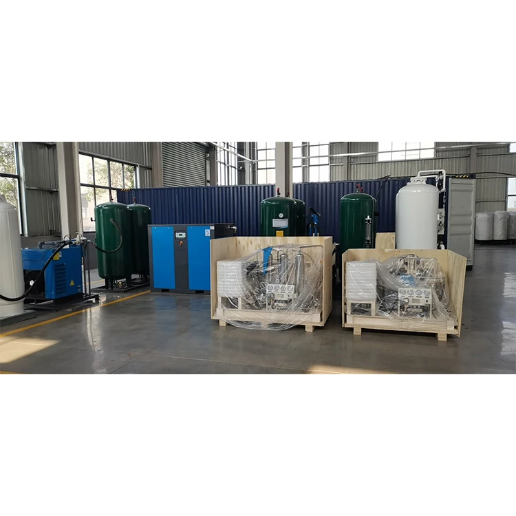 Industrial High Purity 99.99% N2 Nitrogen Generator High Purity PSA Nitrogen Generator Plant