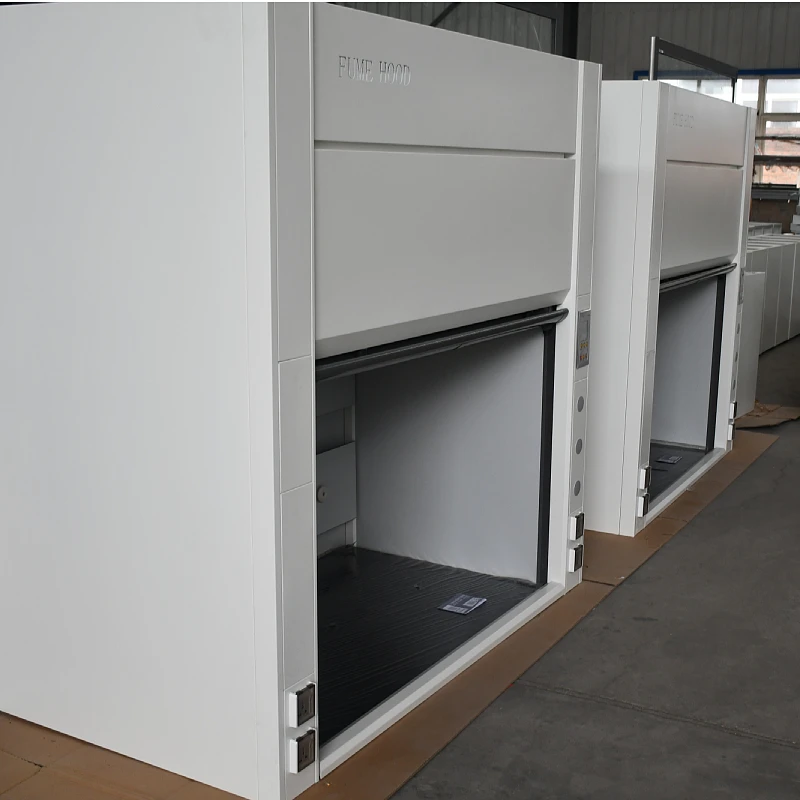 Customized Laboratory Workbench Laboratory Equipment Lab Fume Hood Steel Storage Cabinet Wholesale