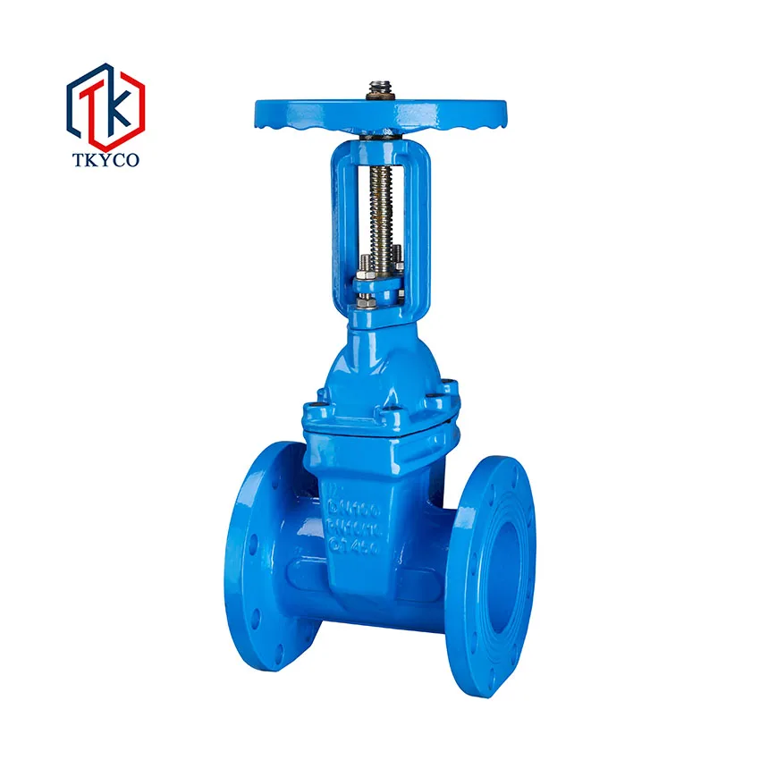 TKYCO PN10 PN16 Flange Type Rising Gate Valve Soft Sealing Ductile Cast Iron Sluice Gate Valve