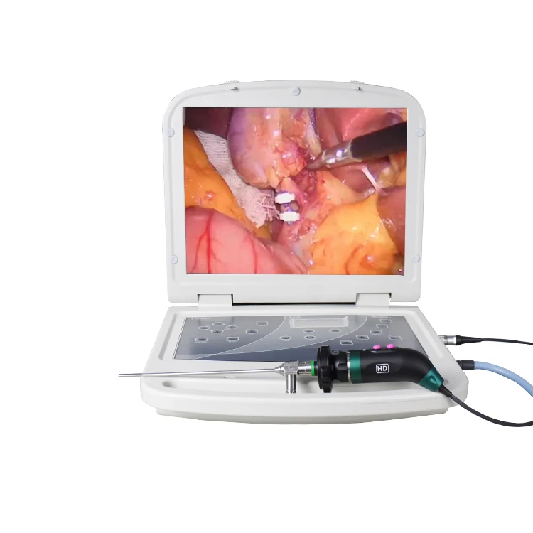Geiwre HD-310 portable  integrated endoscope camera system with plastic