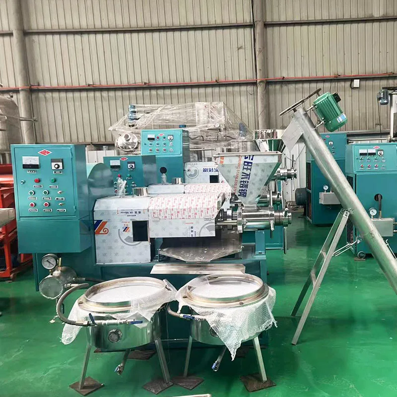 Hot and cold small business commercial olive avocado virgin oil press machine