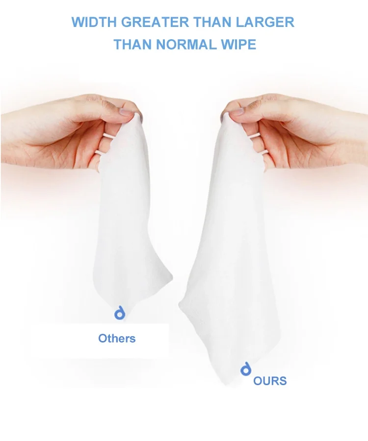 Hot Selling Low-Priced Wet Wipes for Houseplants Patient Care