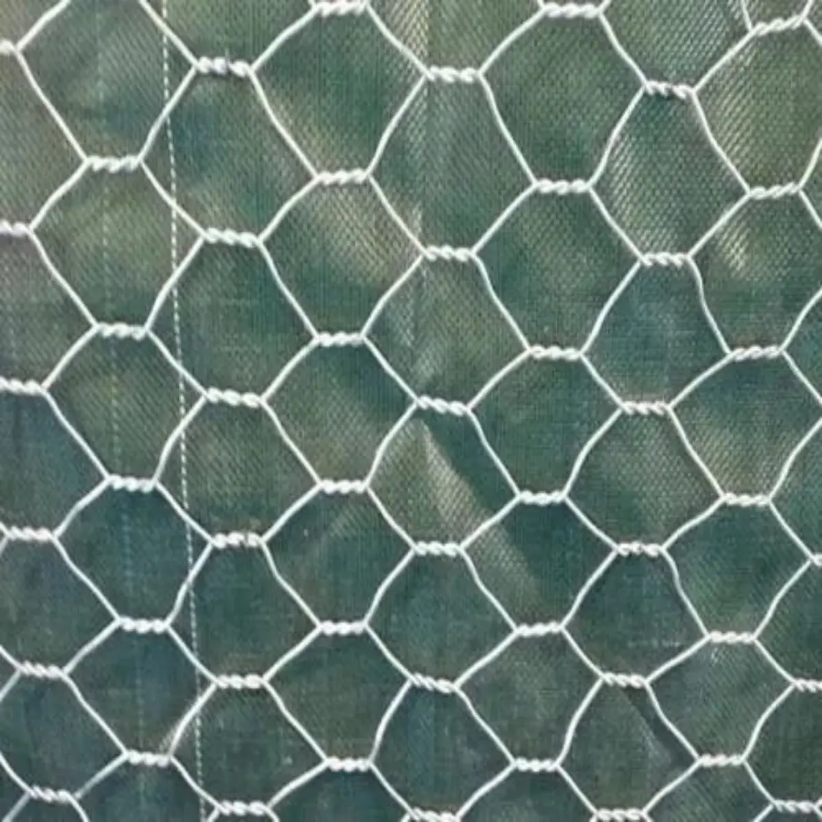 Good Price Galvanized Welded Gabion Box/ 80X100 De Galvanizado Caliente Cesta Gabion 1*1*1m Welded Gabion Box