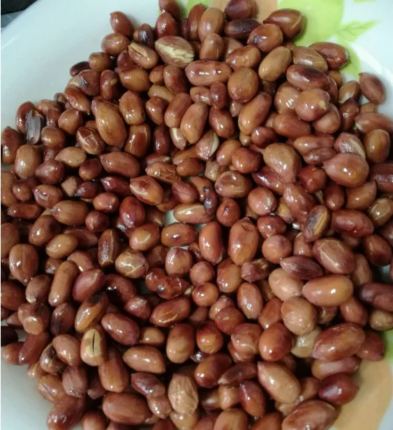 Good quality Raw Peanuts Kernel healthy food
