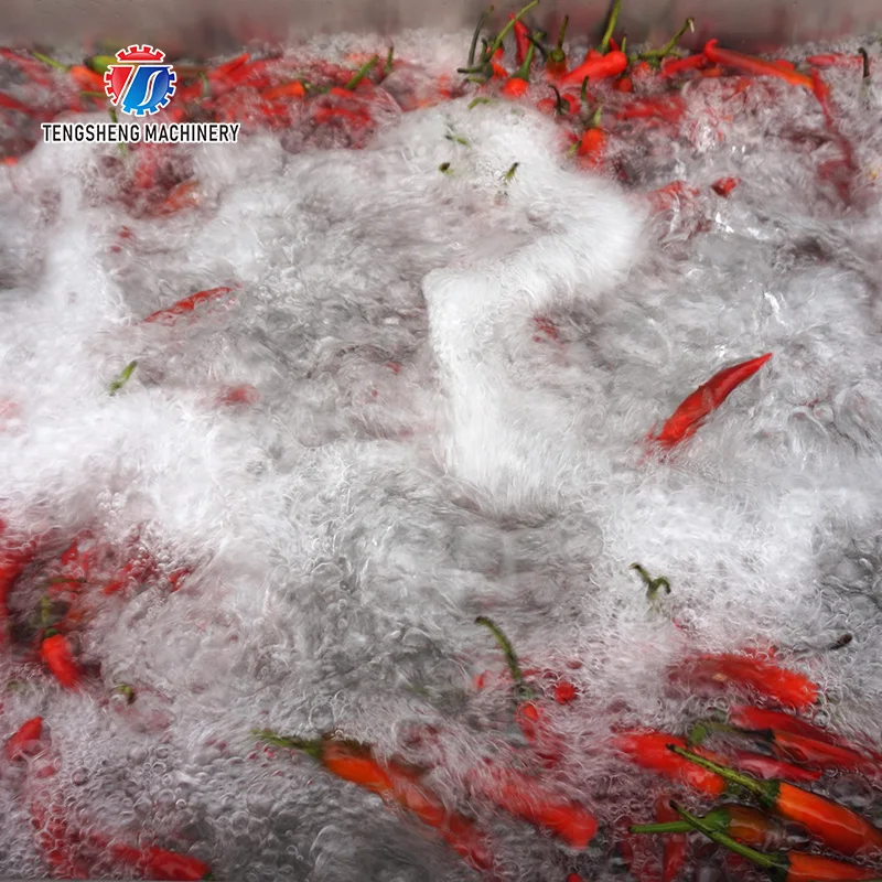 Large-scale leaf vegetables cleaning machine multifunctional fruit vegetable cleaner automatic citrus fruit washing machine