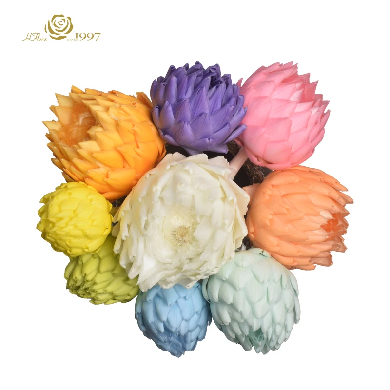 HFlora High-End Medium Preserved Artichoke Snow Lotus Eternal Flower Dried Flowers Arrangement