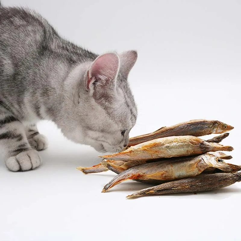 Pet snacks bulk pack freeze dried quail