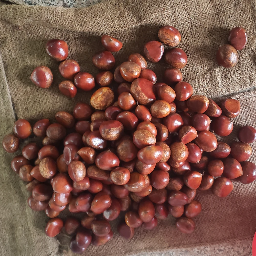 China factory supply snack small package Food Organic Peeled Roasted Chestnuts