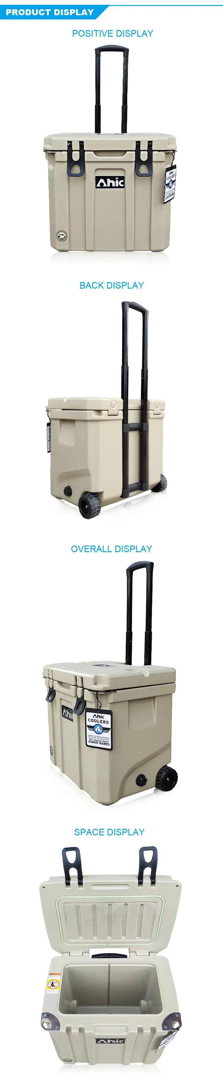DL35 (3)