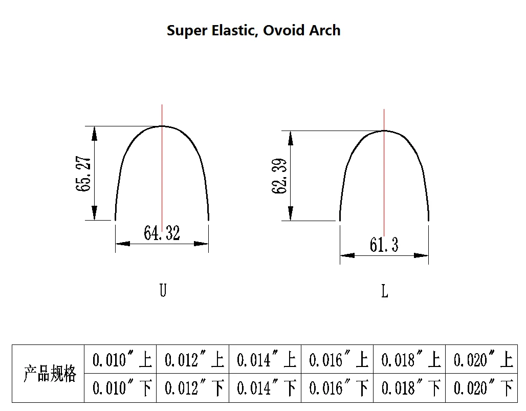 Dental Orthodontic Bracket Stainless Steel Arch Wire Dental Adjustment Parts