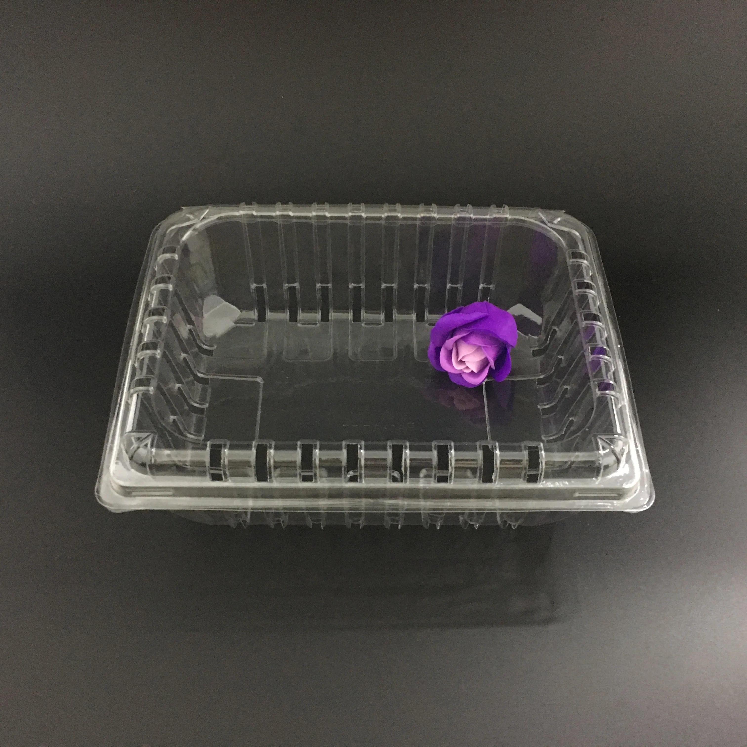 Disposable Plastic Food Fruit Box Packaging Plastic  Transparent Boxes