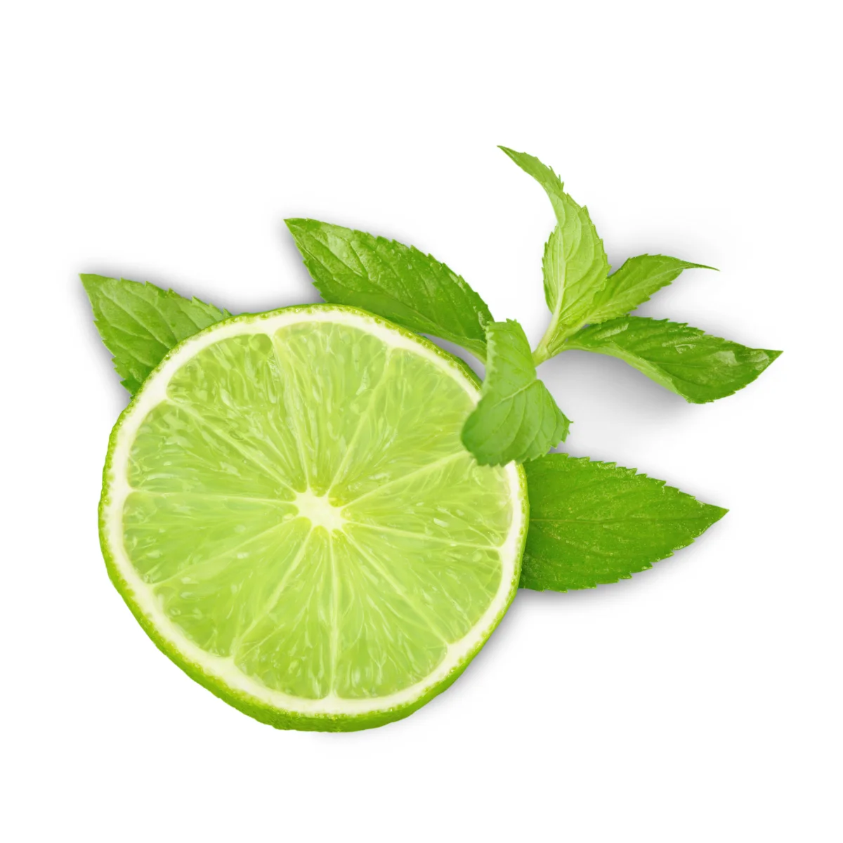 Wholesale High Quality 100% Natural Sour Fresh Seedless Lime Lemon Rich In Nutrients From Vietnamese Manufacturer