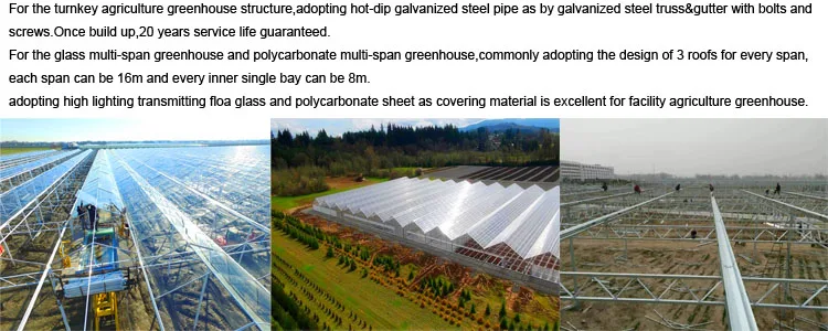 Greenhouse Structures