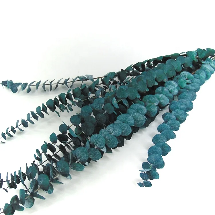 Wholesale price preserved eucalyptus l eucalyptus eucalyptus menthol crystal