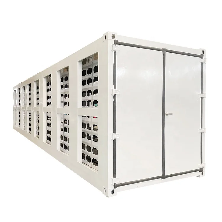 Custom energy reserves container offshore container 20ft shipping container