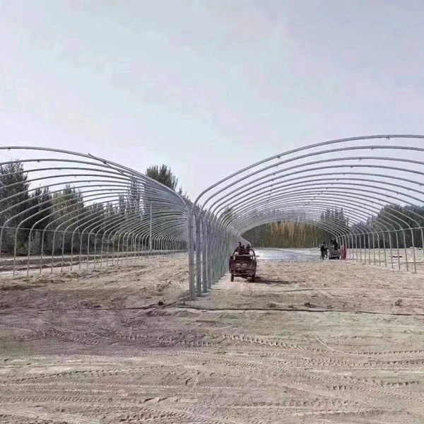 
Construction of Rapid Agricultural Greenhouse Project Frame Greenhouse Structure Tunnel for Agriculture 
