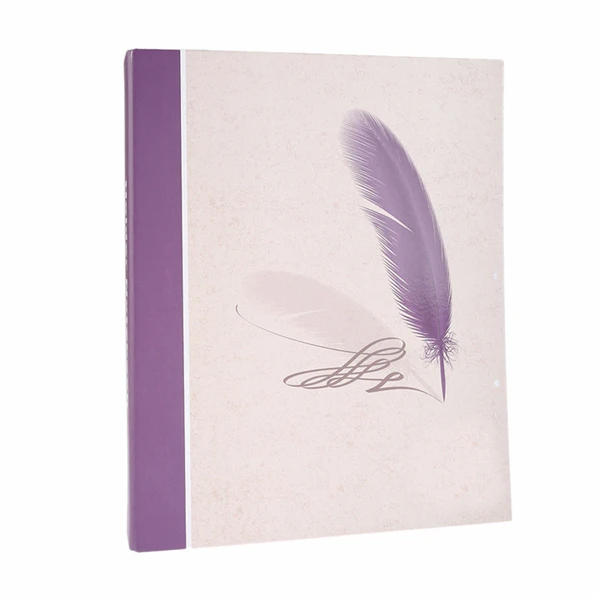 Factory direct stationery file U.S stander a4 letter size file folder 2/3 ring binder