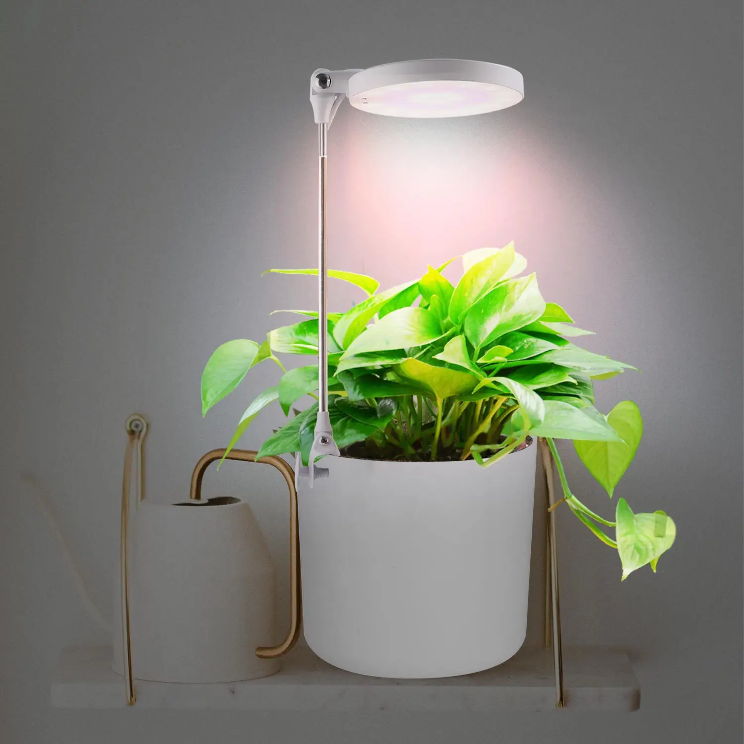 J&C Creative Smart Control Small Grow Light Kit Brightness Dimming Indoor Herb Grow Light Three Timer Modes Plant Growing Lamp