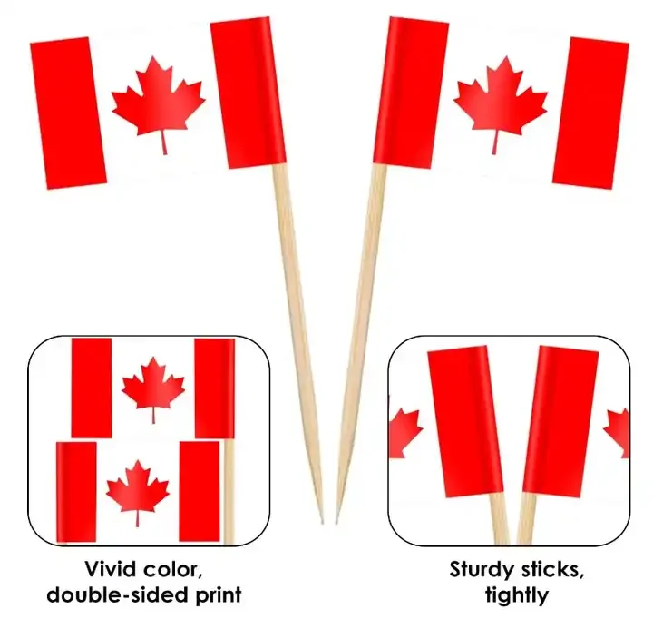 Hn World Country Flags Polyester Fabric Custom Size Canada Toothpick Flags High Quality Cupcake Toppers for Party