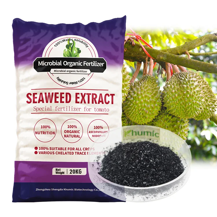 100% fresh nutrients complement 20% root development agent Alginic acid  Factory seaweed extract fertilizer