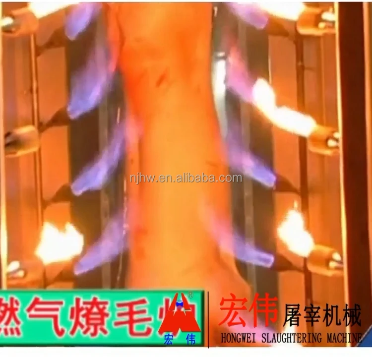 Pig hair Singe Furnaces.jpg