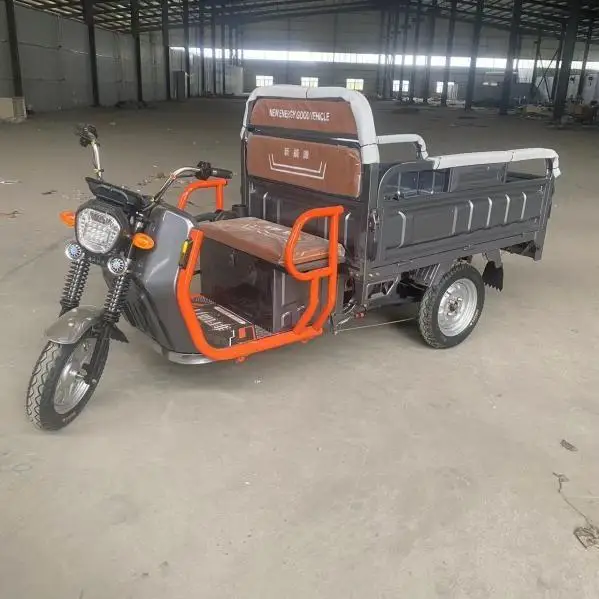 Made in CHINA motorized cargo tricycle ! in stock wanhoo cargo tricycle cc250 electric tricycle stainless steel