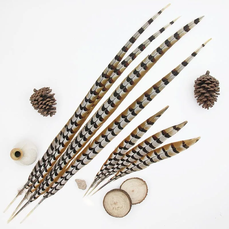 Natural Feathers Wholesale High Quality Long Reeves Pheasant Feathers for Carnival Costumes