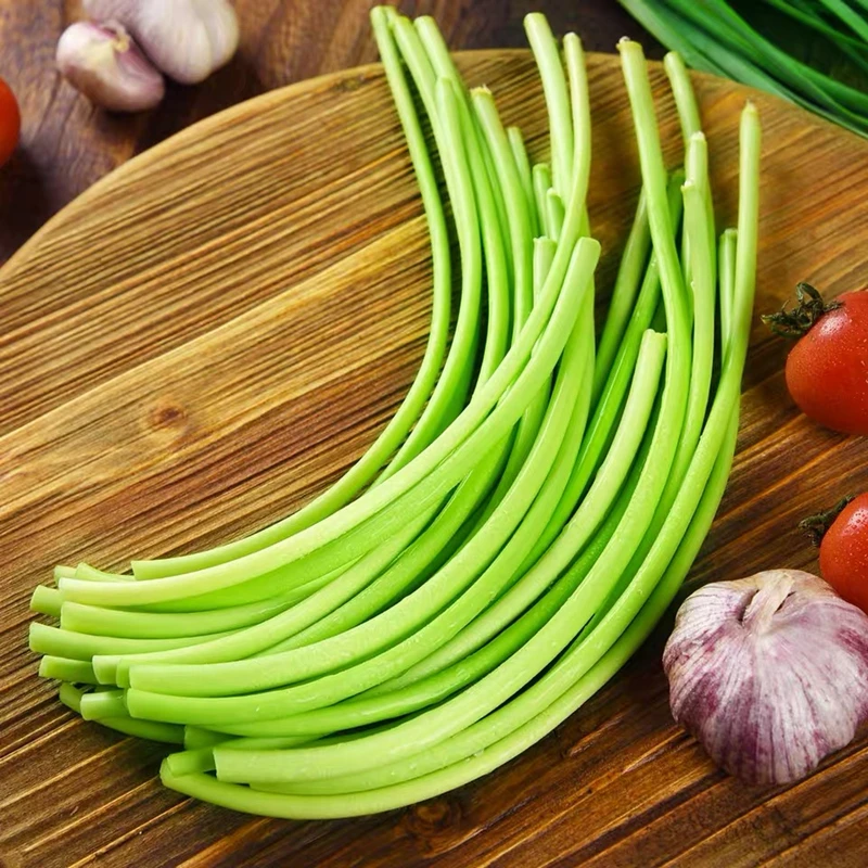 Wholesale cheap price garlic chives high quality