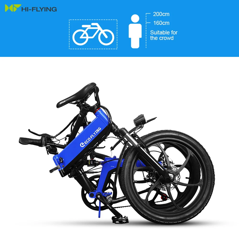 European Warehouse Eco-flying Limited 2 Wheels Electric Bicycle 36V 250W City Adult Electric Bicycle