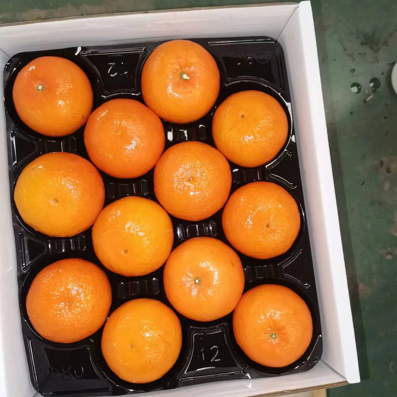 Fresh citrus fruit from China Fresh Mandarin orange for sale