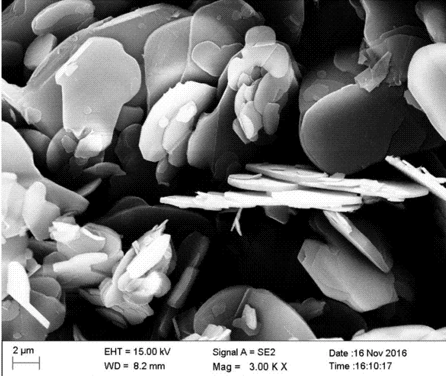 White Graphite Hexagonal Boron Nitride For Refractory Matter 0.3-30μm HBN Powder