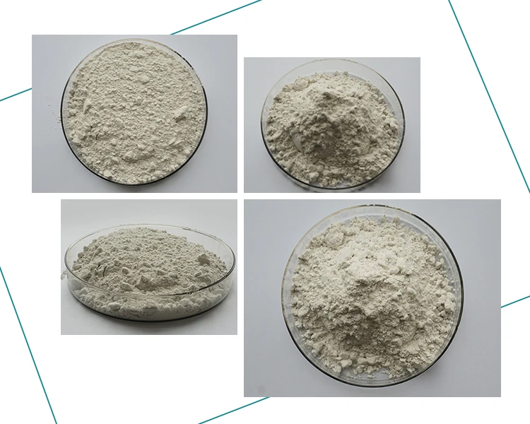 Insen Supply High Bioactivity Leech Extract Hirudin