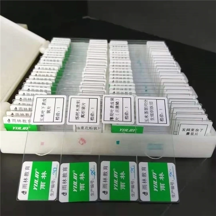 Laboratory Biology Preparation microscope slides are available in middle school laboratories with 50 slide sets