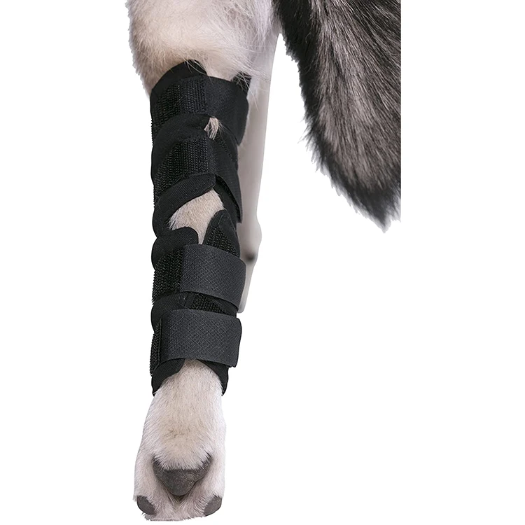 Hot Selling Recovery Breathable Protector Sleeve Dog Knee Legs Dog Hock Brace Avoid Licking Injured Leg