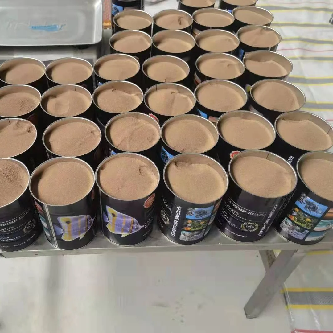 Bohai bay artemia high quality dry brine shrimp brine shrimp egg artemia descapsulada