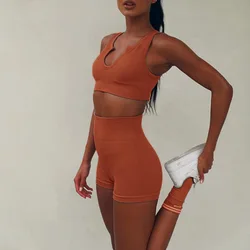 Wholesale dropshipping female ladies women summer oem cheap plus size custom sexy spandex seamless sport gym wear set for women