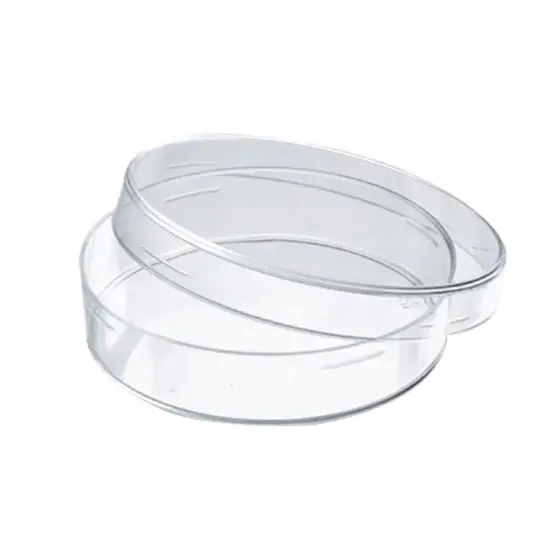Wholesale Disposable Plastic 90*15mm Tissue Culture Plate Cell Culture Dish Sterilized 90mm Petri Dish For Lab