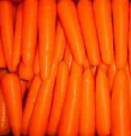 Middle East Market Southeast Asia Market Low Price Fresh Carrots